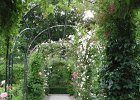 Tuin III-Pergola.tiff  Tuin Borg Verhildersum